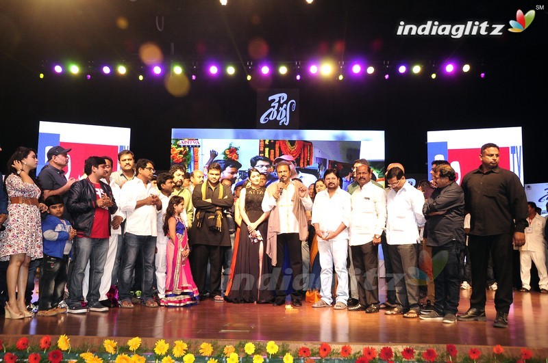 'Shourya' Audio Launch (Set-2)