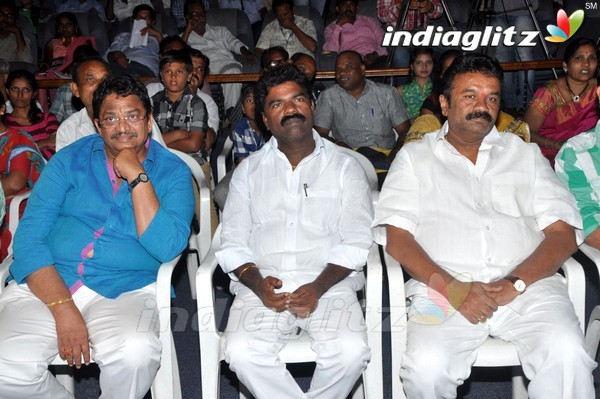 'Simple Love Story' Audio Launch