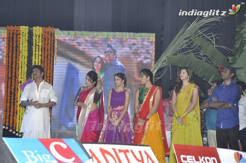 'Soggade Chinni Nayana' Audio Launch (Set-2)