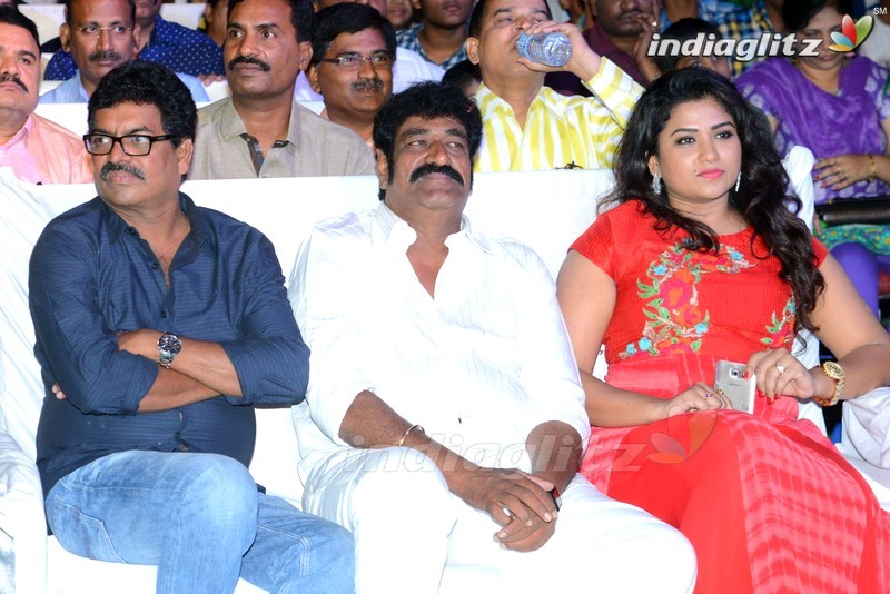 'Soukyam' Audio Launch (Set-1)