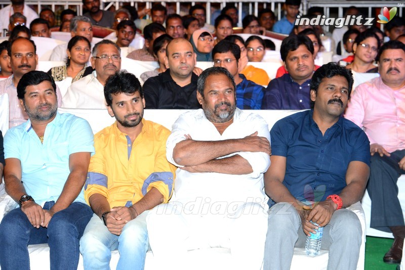 'Soukyam' Audio Launch (Set-1)