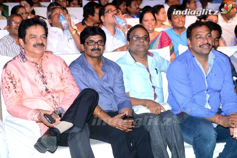 'Soukyam' Audio Launch (Set-1)