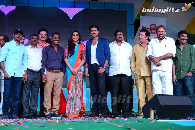 'Soukyam' Audio Launch (Set-1)