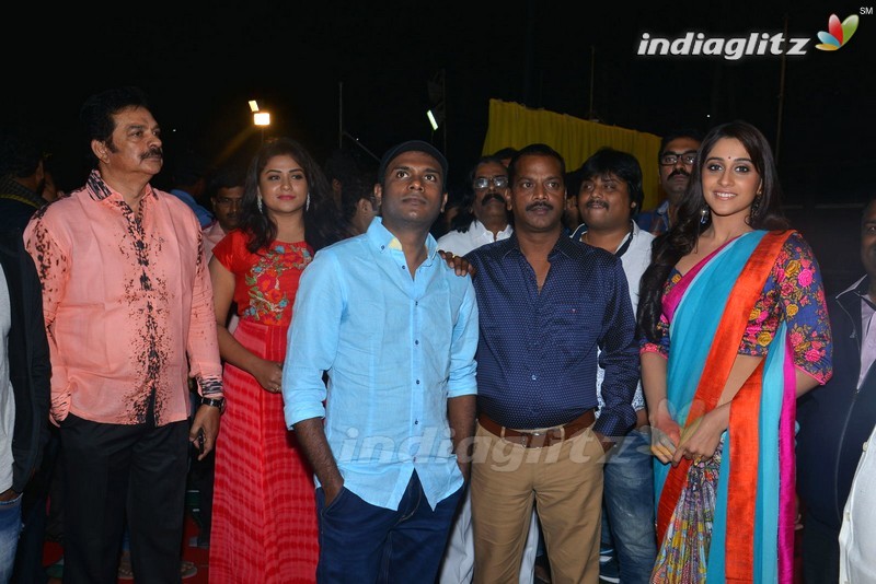 'Soukyam' Audio Launch (Set-1)