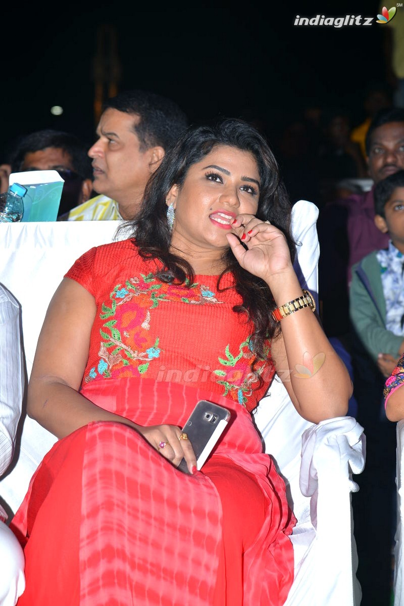 'Soukyam' Audio Launch (Set-1)