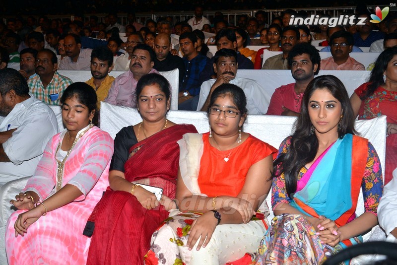 'Soukyam' Audio Launch (Set-1)