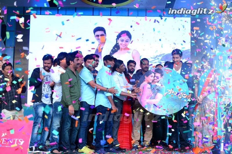 'Soukyam' Audio Launch (Set-2)