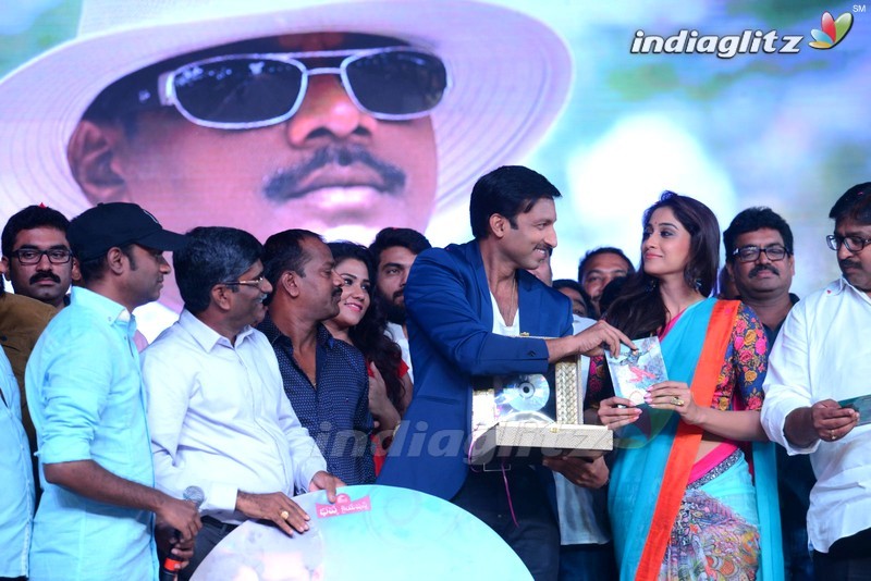 'Soukyam' Audio Launch (Set-2)