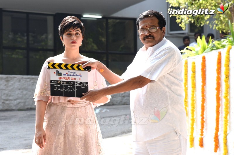 Sri Krishna Creations Production no 1 Movie Opening