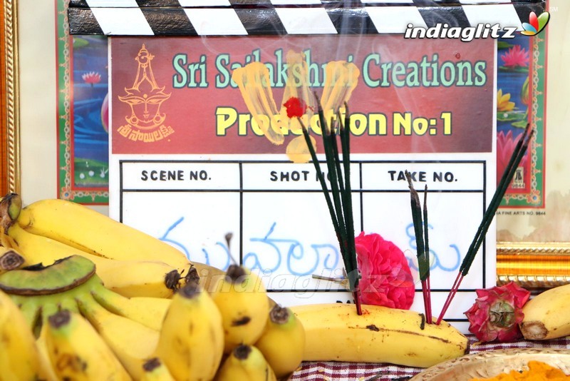 Sri Sailakshmi Creations Production No 1