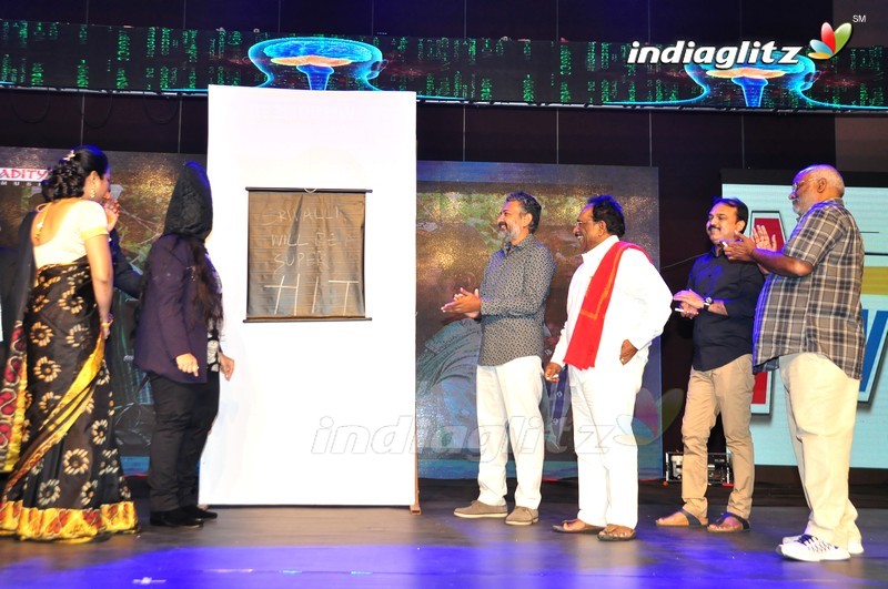 'Sri Valli' Audio Launch (Set-1)