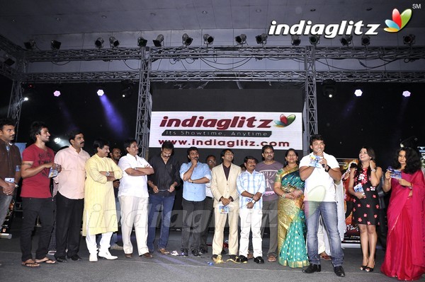 'Telugabbai' Audio Launch