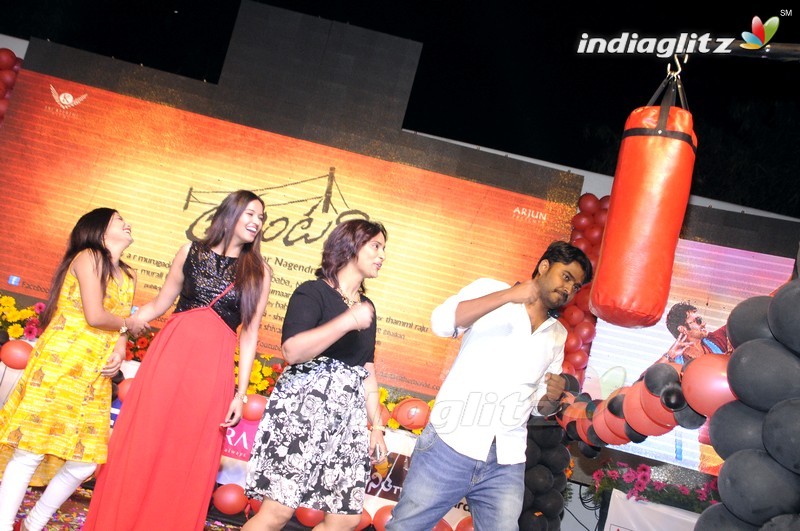 'Tuntari' Audio Launch