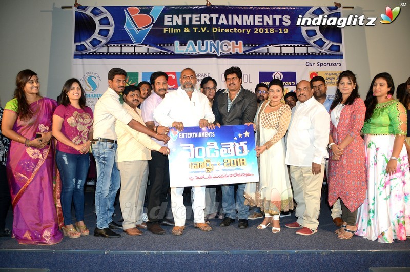 VB Entertainments TV & Film Dairy Launch