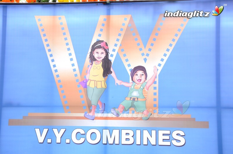 V. Y Combines Logo Launch