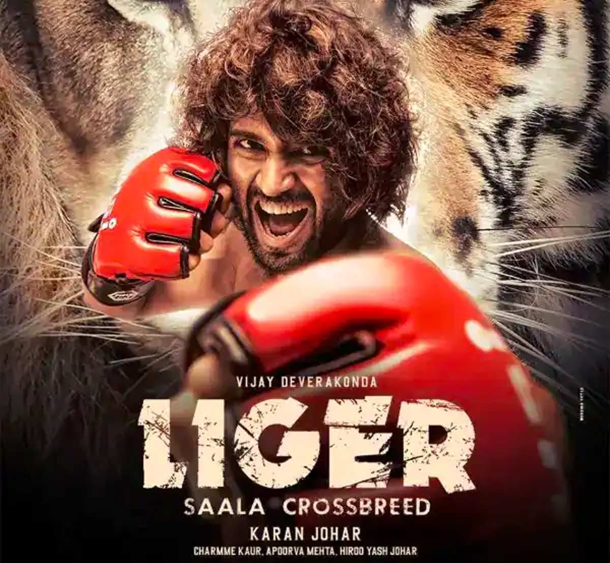 Rock solid US Premieres of Liger!