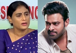 I never met Prabhas and I don't know who he is: YS Sharmila