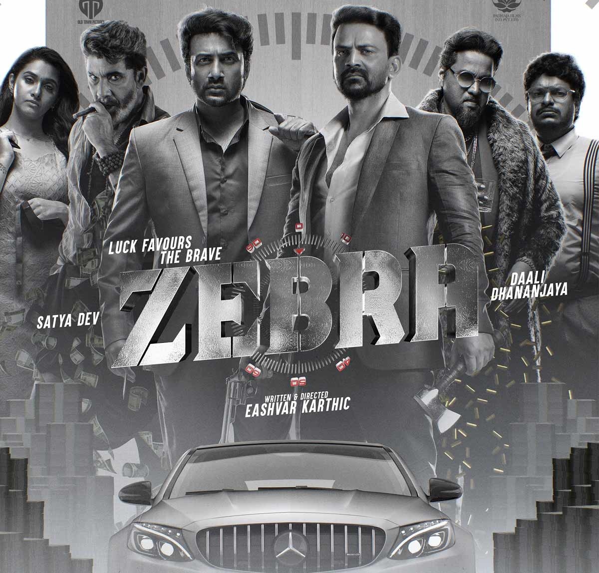 Zebra Teaser: A Gripping Blend of Style and Substance