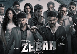 'Zebra' Movie Review