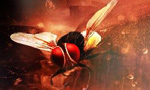 'Eega' Chinese remake rights sold