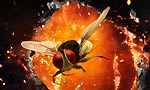 Theatre owner arrested for piracy of  Eega Tamil Version!