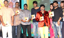 'Hrudaya Kaleyam' Audio Launch