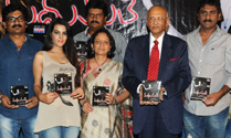 'Madhumati' Audio Launch