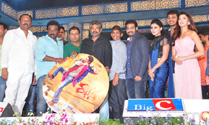 'Rabhasa' should become a super hit for him : NTR