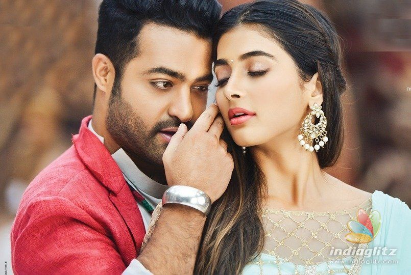 Aravindha Sametha: Collections in domestic & US markets