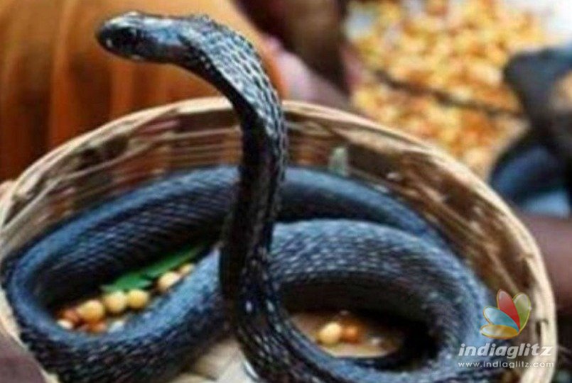 Artiste dies of snake bite during live show