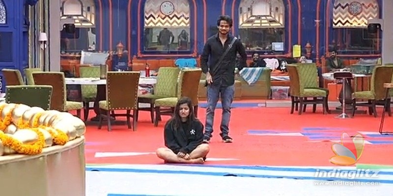Bigg Boss 5 Telugu: Three Safe .. Five in the Danger Zone, and Elimination Who ..?