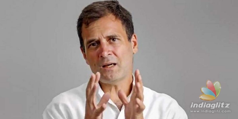BJP tears into Rahul Gandhi over Covid death numbers