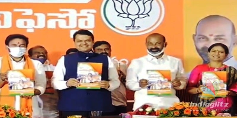 BJP manifesto makes big promises: Find out what they are