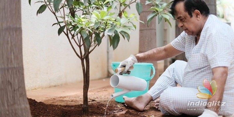 Pic Talk: Brahmanandam participates in Haritha Haram