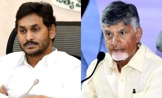 Vijayawada Floods Chandrababu Accuses Jagan of Sabotage, Demands Flood Relief