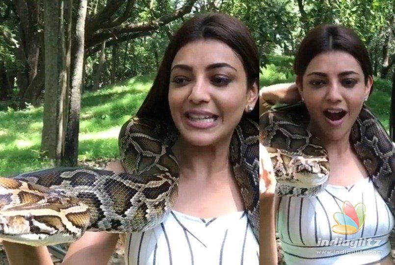 Kajal plays with python like a queen!