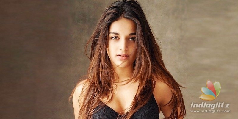 Man shames Nidhhi Agerwal, gets educated by her