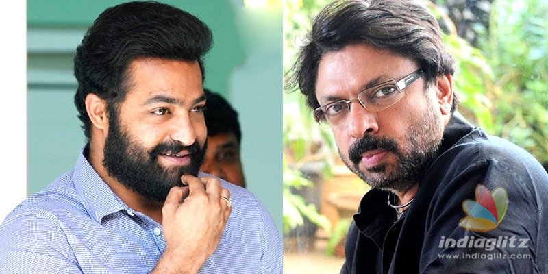 ఎన్టీఆర్-బన్సాలి చిత్రం తాజా అప్డేట్‌ ఇదీ..!