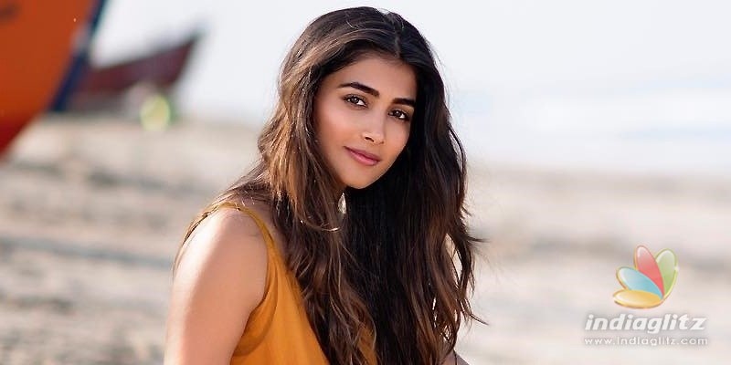 Was Pooja Hegde really caught by traffic cops? No!