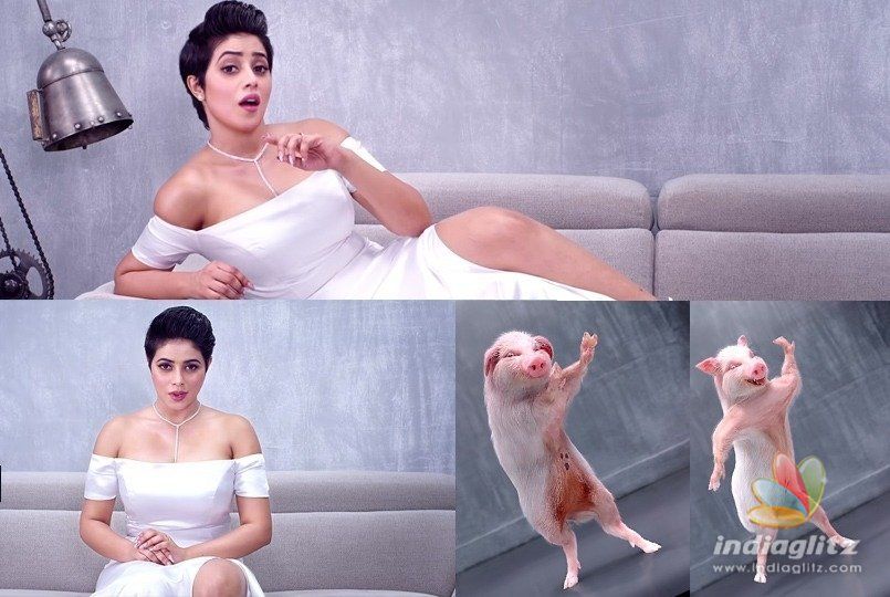 Heroine dances with piglet in this message-driven song