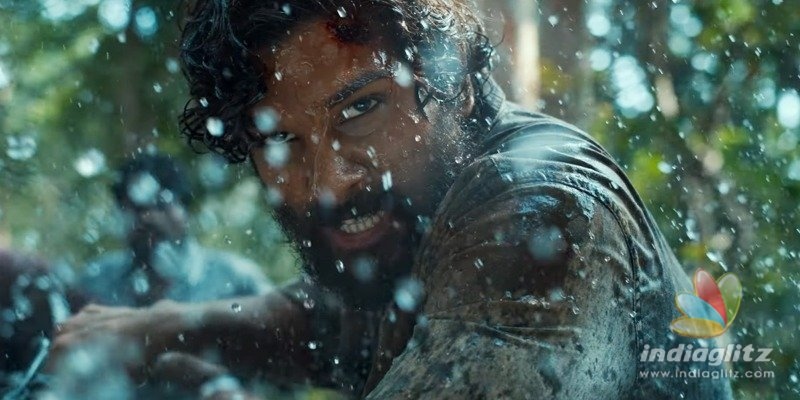 Pushpa Trailer: Allu Arjun nails it in his most mass-y role to date!
