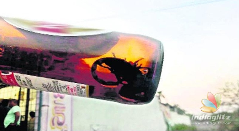 Shocker in Warangal: A scorpion in beer bottle