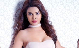 The director asked me to feel his private parts: Sherlyn Chopra