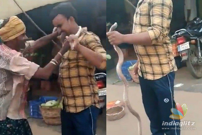 Andhra youths stunt with king cobra fails, dies of bite!