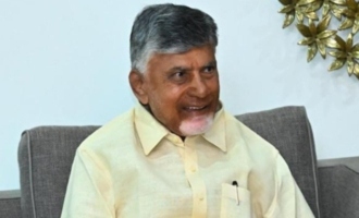 Andhra Pradesh Cabinet: A Comprehensive Portfolio Allocation by Chief Minister N. Chandrababu Naidu