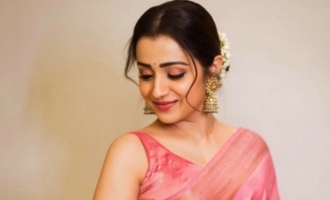 Chennai Thendral Trisha to captivate with crazy projects